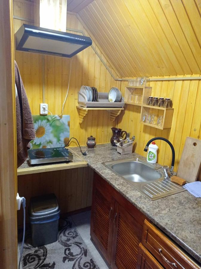 Romashka Guest House Yablunytsya Εξωτερικό φωτογραφία
