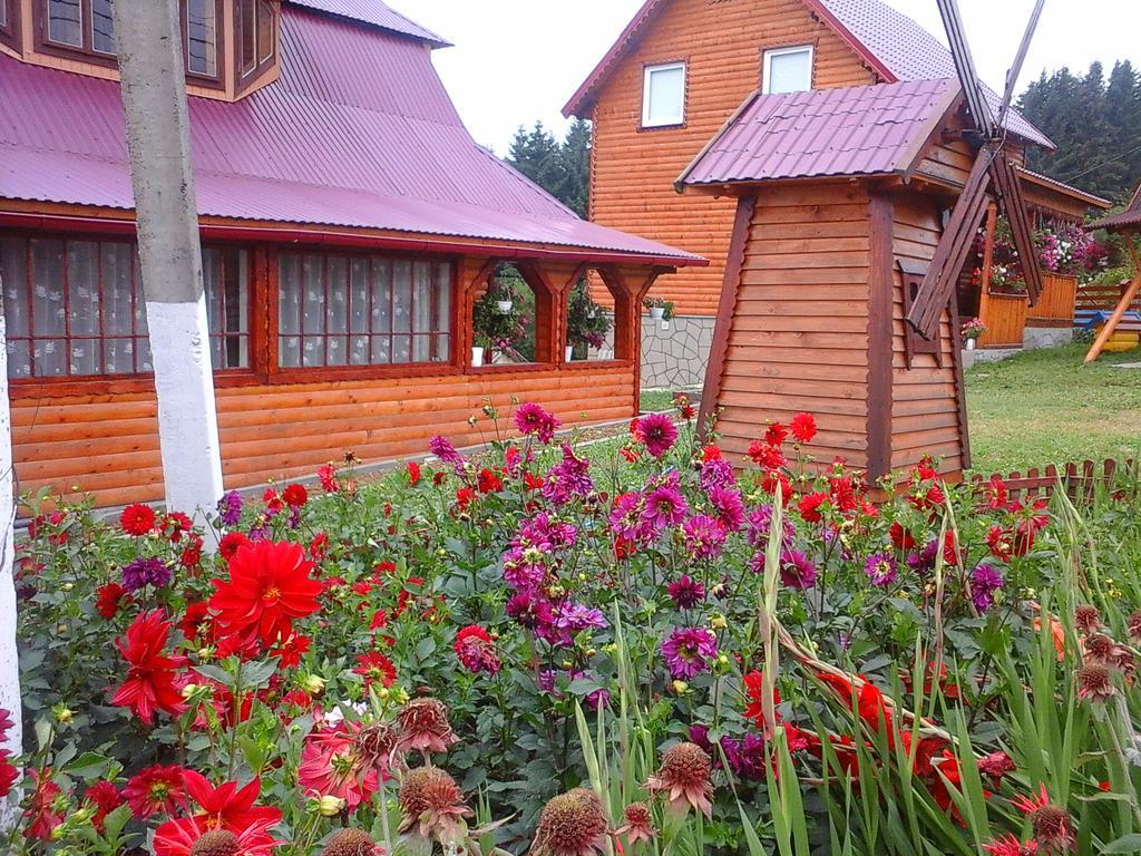 Romashka Guest House Yablunytsya Εξωτερικό φωτογραφία