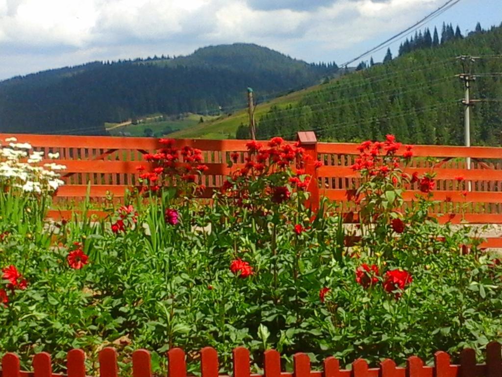 Romashka Guest House Yablunytsya Εξωτερικό φωτογραφία