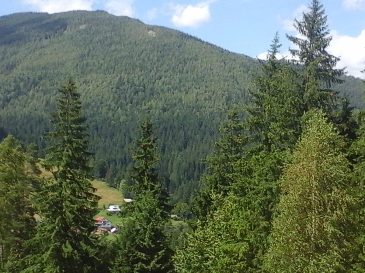 Romashka Guest House Yablunytsya Εξωτερικό φωτογραφία