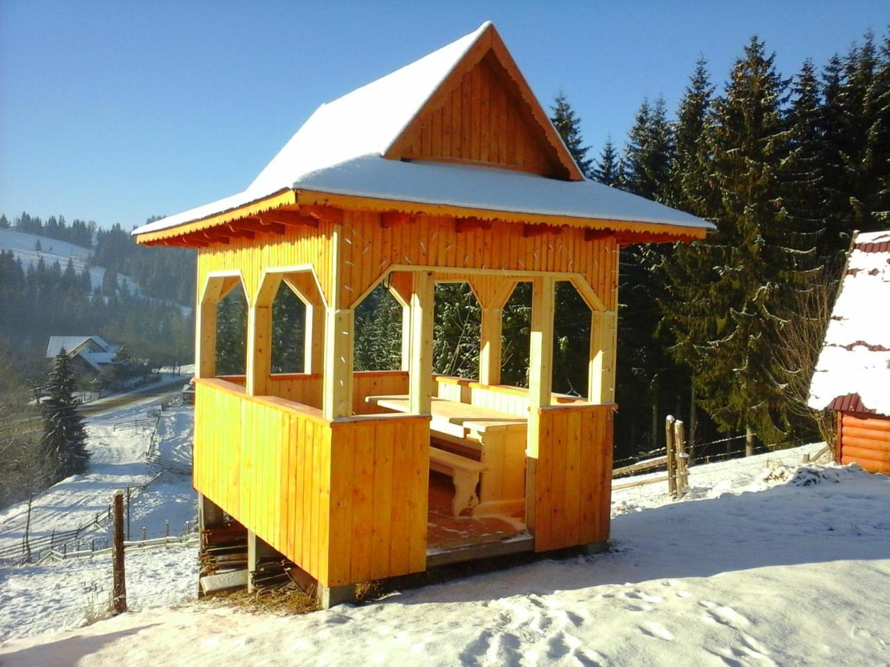 Romashka Guest House Yablunytsya Εξωτερικό φωτογραφία