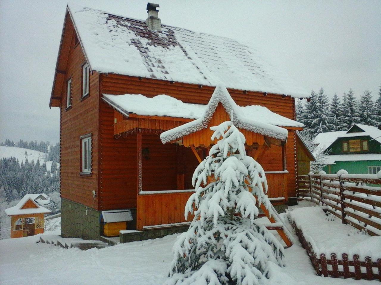 Romashka Guest House Yablunytsya Εξωτερικό φωτογραφία
